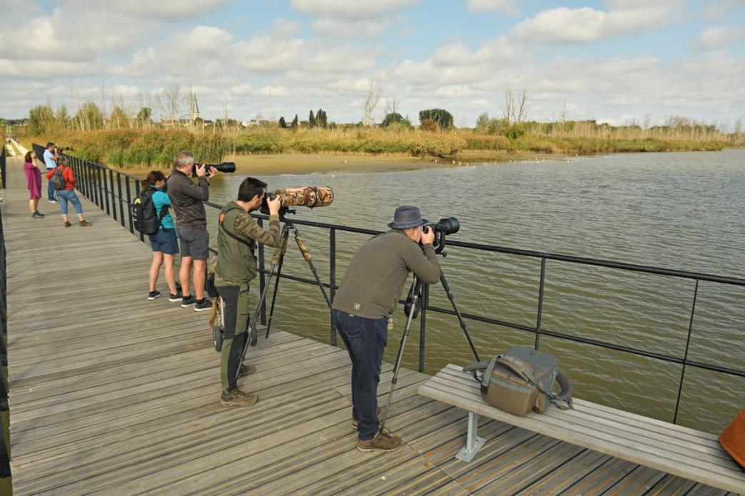 Vlonderpad, Polders van Kruibeke