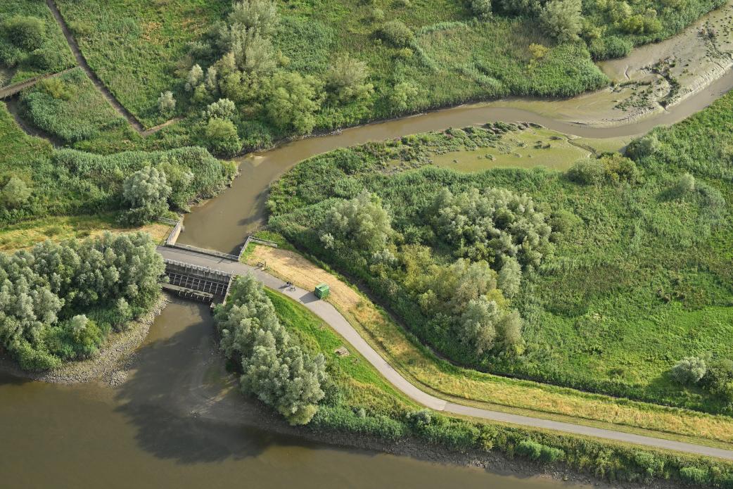 Bergenmeersen2024