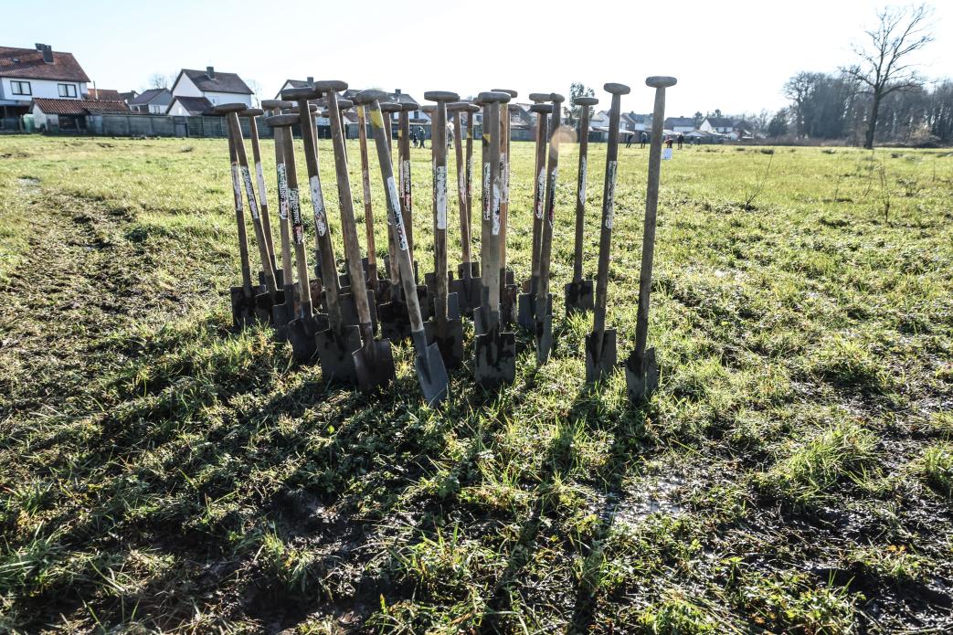 Plantactie Hulshout