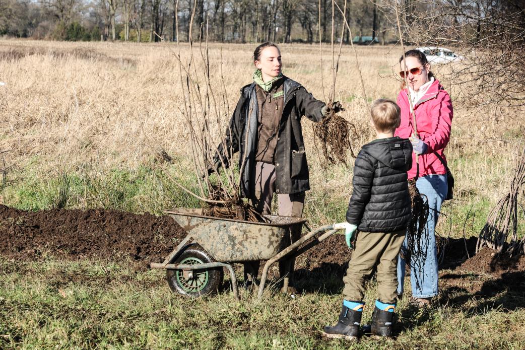 Plantactie Hulshout