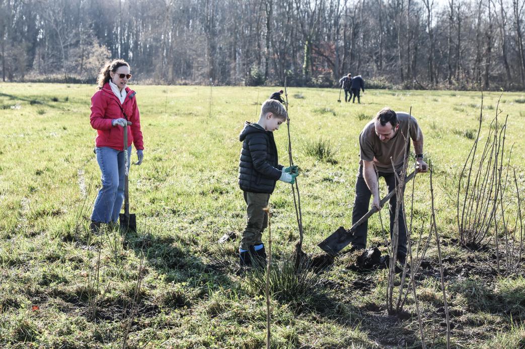 Plantactie Hulshout