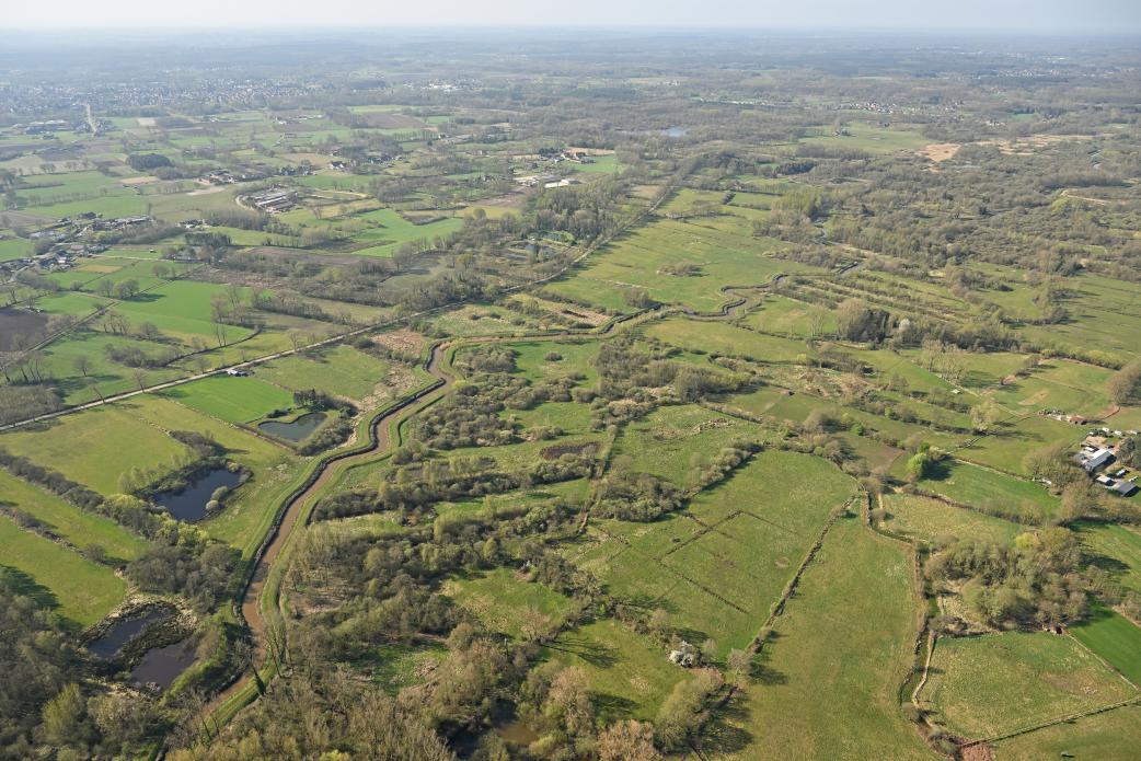 Zammelsbroek in 2025, ©Vilda