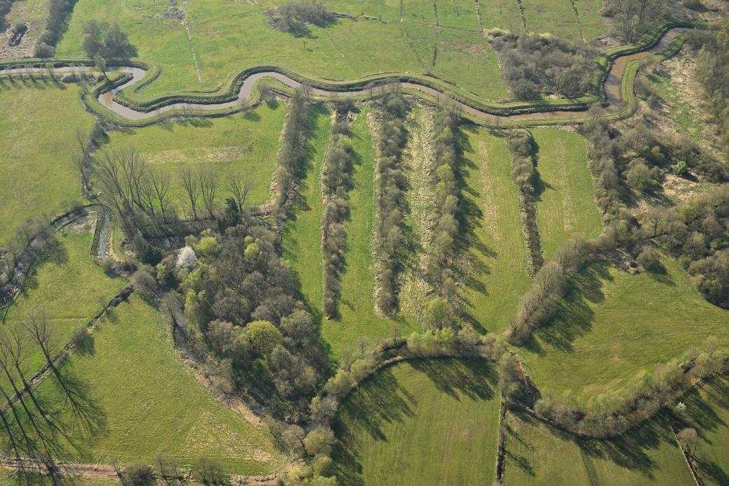 Zammelsbroek in 2025, ©Vilda