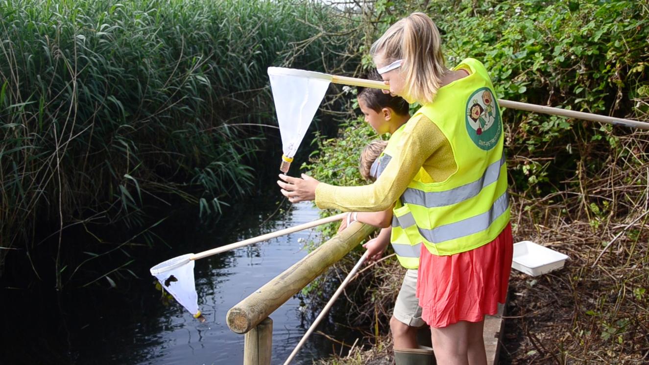 Actie in de Polders van Kruibeke met het educatieve pakket 'Scalluvia Jungle'