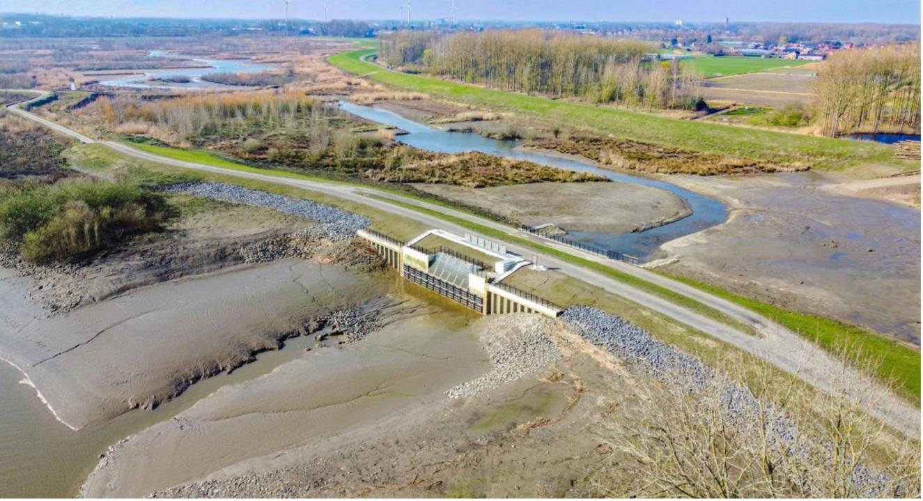 Wal-Zwijn, ©De Brandt