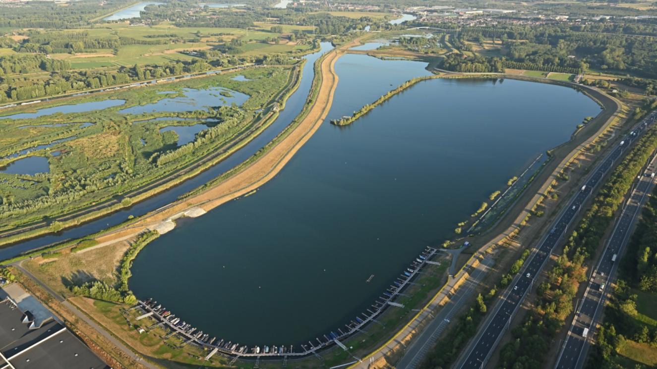 Grote Vijver