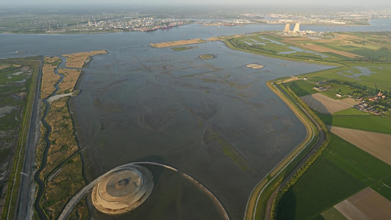 Hedwige-Prosperpolder_2023