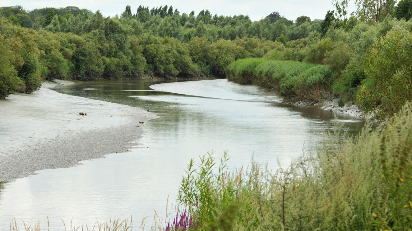 ScheldeMelle