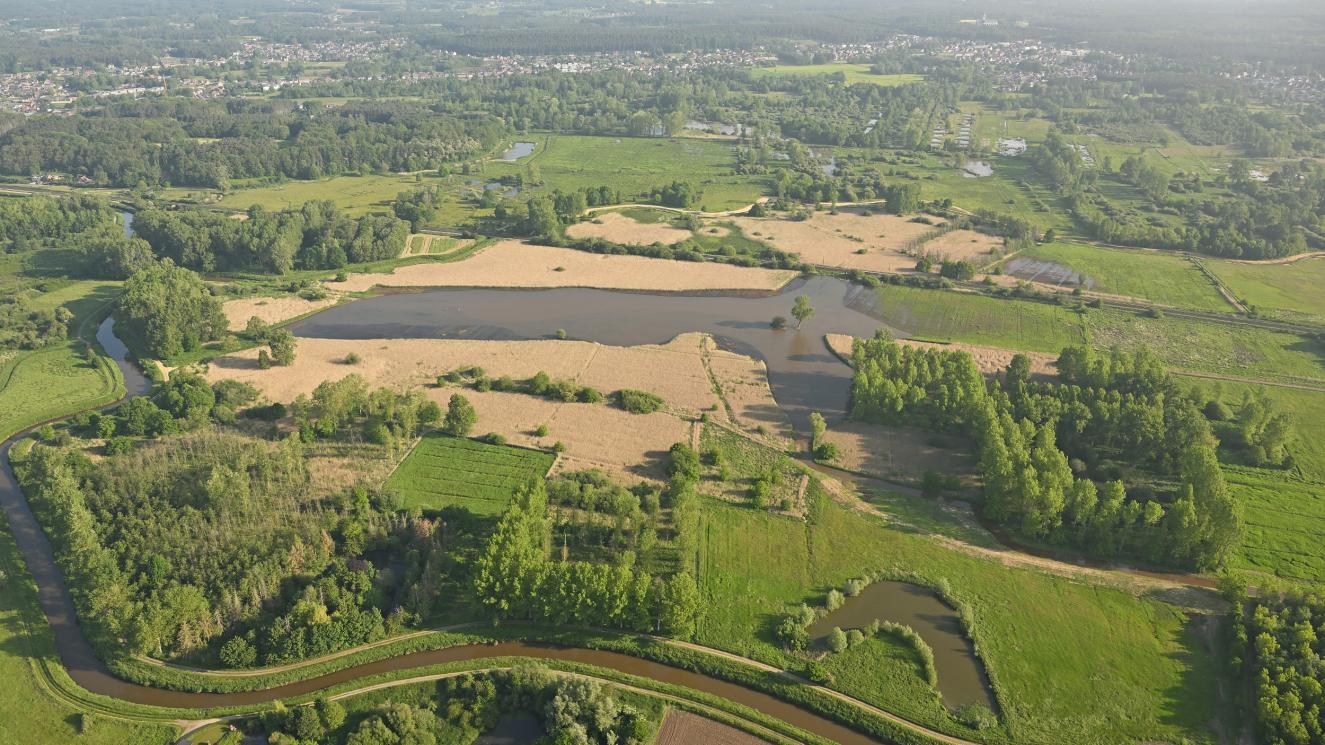 Kloosterbeemden
