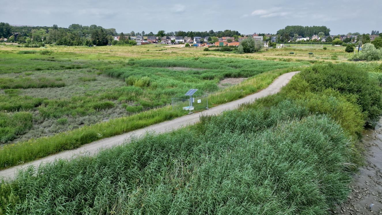 Knijtenval-KleinBroek