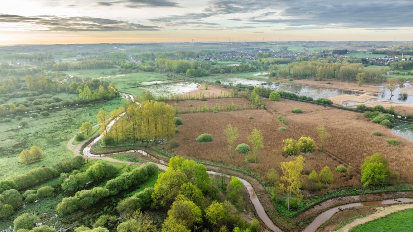 Demerbroek_BartHeirweg