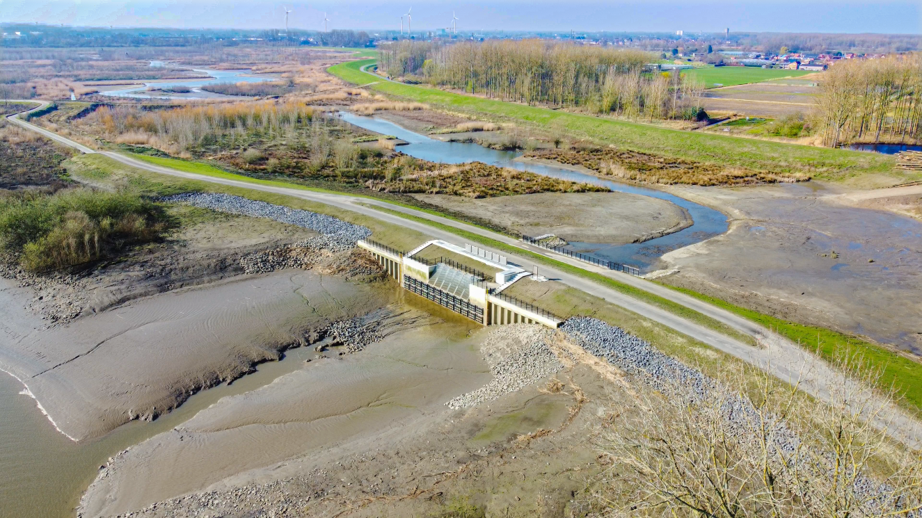 Wal-Zwijn