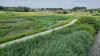 Knijtenval-KleinBroek