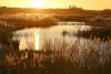 Polder van Lier ©Vilda