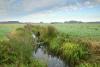 WetlandKalkenseMeersen
